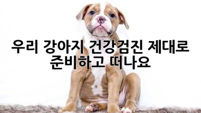 우리 강아지, 건강검진 제대로 준비하고 떠나요!
