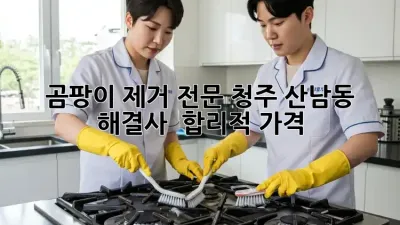 곰팡이 제거 전문, 청주 산남동 해결사 🦸‍♀️ 합리적 가격!